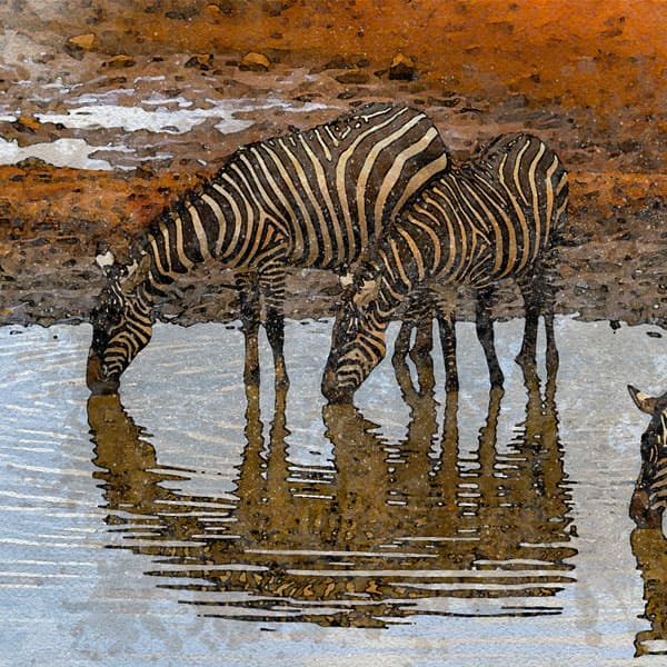 Kenia al completo y Zanzíbar