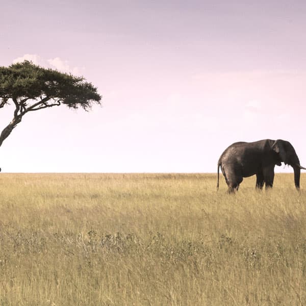Tanzania y Zanzíbar